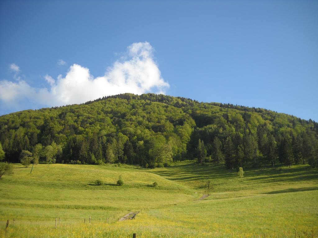 Villa Farm Pri Flandru Cerkno Exterior foto