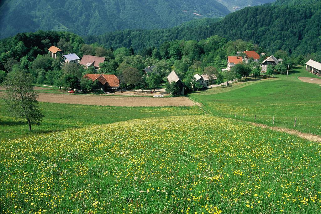 Villa Farm Pri Flandru Cerkno Exterior foto